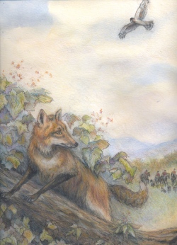 Hunted Fox